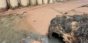 Sewage spill sparks calls for sewer improvements 