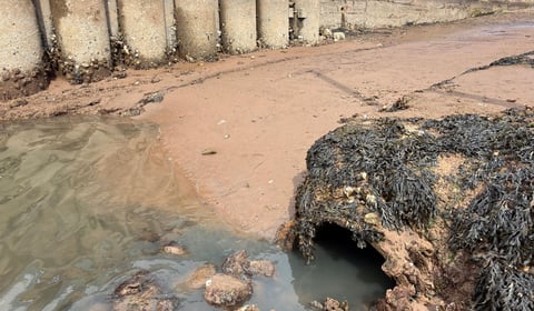 Source of sewage spill identified 