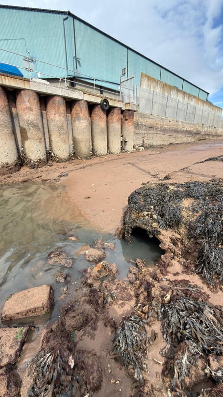 Sewage spill at Teignmouth. Photo Friends of the River Teign