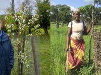 Charity aids Malian farmers