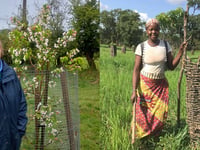 Charity aids Malian farmers