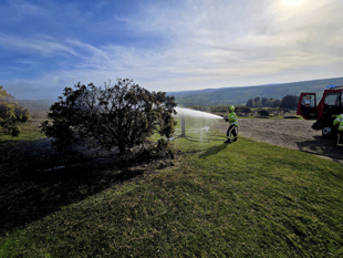 'Take a picnic', says fire crew after Top Tor disposable BBQ fire 