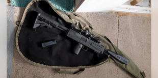 Police seize BB gun as officers share 'snapshot' of week's activities