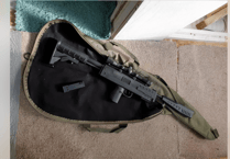 Police seize BB gun as officers share 'snapshot' of week's activities