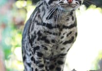 Zoo celebrates achieving major milestone