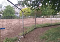 Dawlish trees' health post-water works