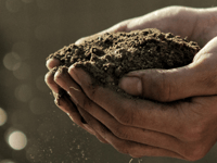 Subsidised composting bins now available in Devon