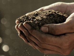 Subsidised composting bins now available in Devon