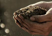 Subsidised composting bins now available in Devon