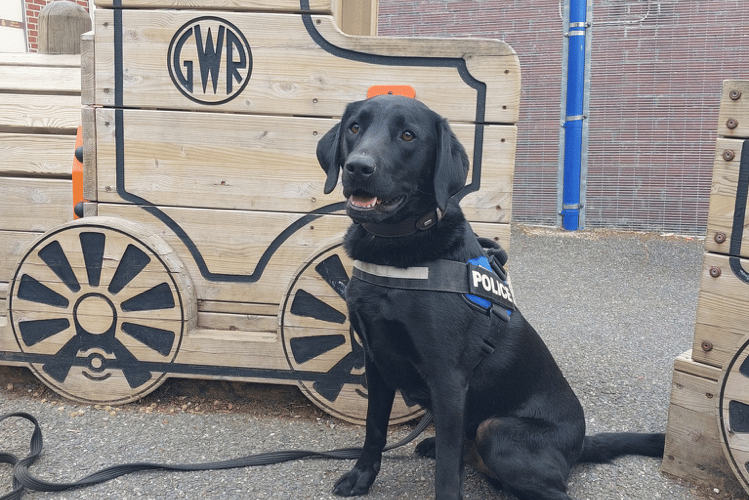 Police dog Ken proved popular with pupils and staff alike