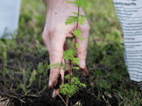 Lottery-backed project to inspire locals about trees and woodland
