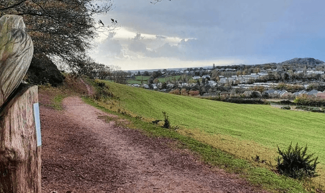 Council adopts 'bold' Local Plan 
