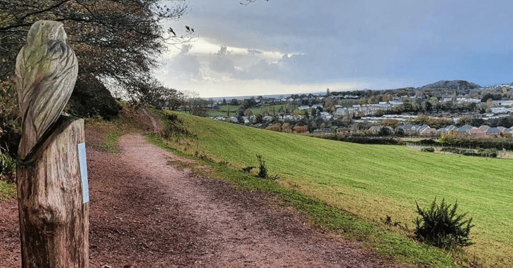 Teignbridge Council have adopted the Local Plan 2020 to 2040 