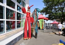 Environment festival's cool theme amid record heatwave