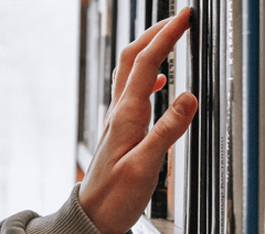 A decade of stories: Devon’s library service celebrates 10 years