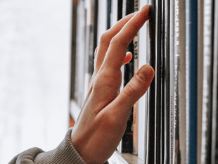 A decade of stories: Devon’s library service celebrates 10 years