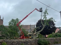 Emergency work on tree due to safety fears 
