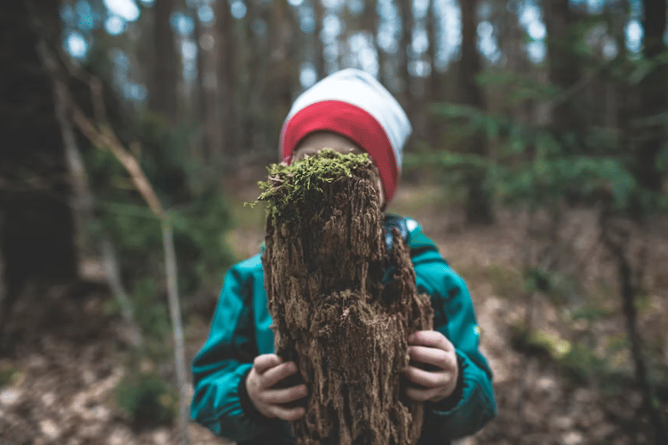 Forest school stock image