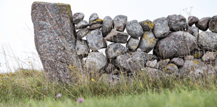 Ellwood Classic set for Dartmoor debut this summer