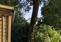 Wildlife trust staff trained to help sight-impaired visitors