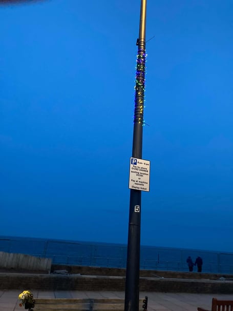 New solar lights adorn Teignmouth seafront. Photo supplied