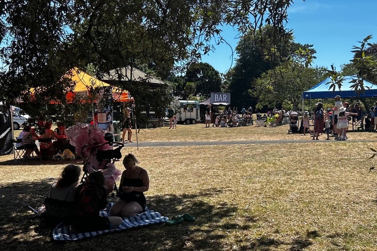 Newton Abbot Party in the Park. Photo supplied