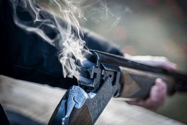 Shotgun stock image