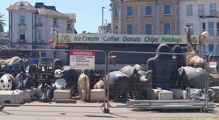 Mini golf animals lining up to go back home to Dawlish's safari-themed mini golf. Photo Noreen Goodchild