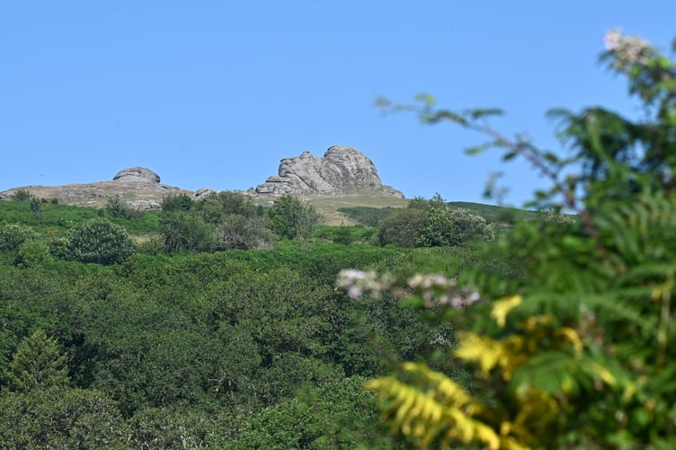 Haytor Rocks standing high above Haytor Vale on Dartmoor.