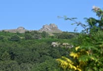 Give your views on the latest five-year plan for Dartmoor