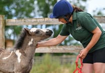 Mika's story 'shows why Sanctuary exists'