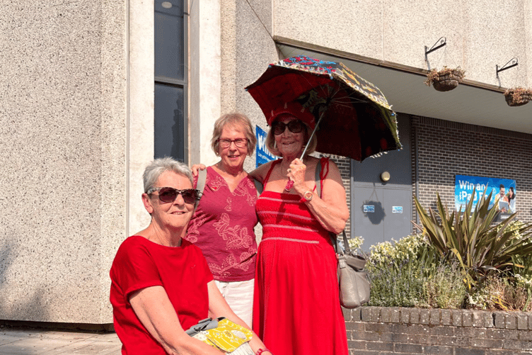 Heart Campaign protesters at a Torbay Council meeting