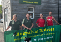 Fundraising marathon challenge arrives at Ipplepen rescue centre
