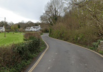 Petition organiser fears 'absolute chaos' if Teigngrace Road closes