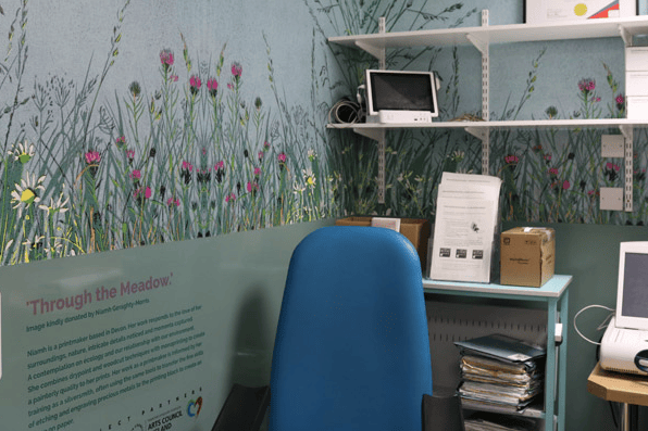 Torbay and South Devon NHS Foundation Trust