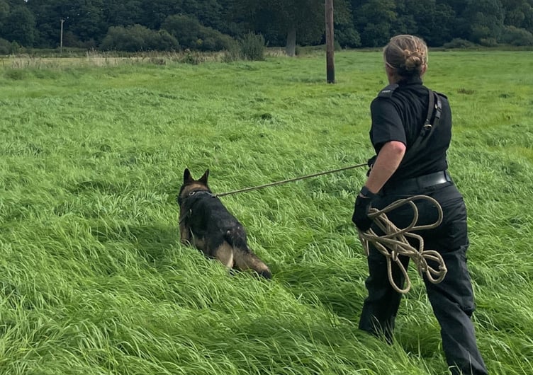 Police dog being trained in an outdoor space