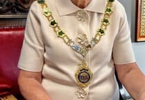 Devon council review gains mayoral support