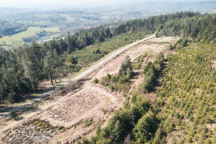 Haldon Forest habitats seen from the air. Photo Forestry England Crown Copyright