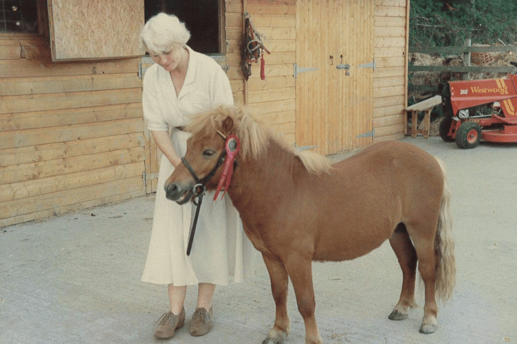 Mare and Foal Sanctuary