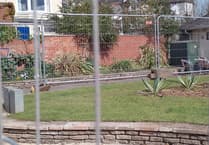 SWW slammed over poor planting