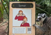 New BSL boards at Shaldon Wildlife Trust