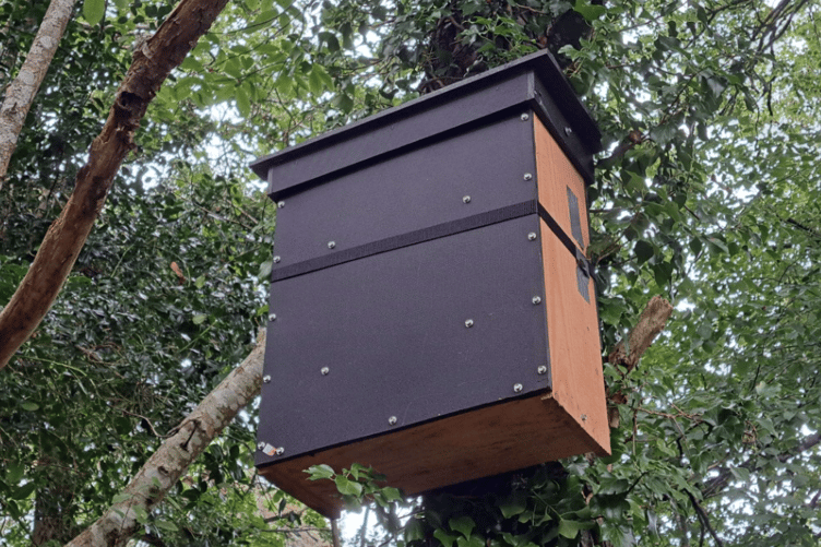 An example of a pine marten nesting box