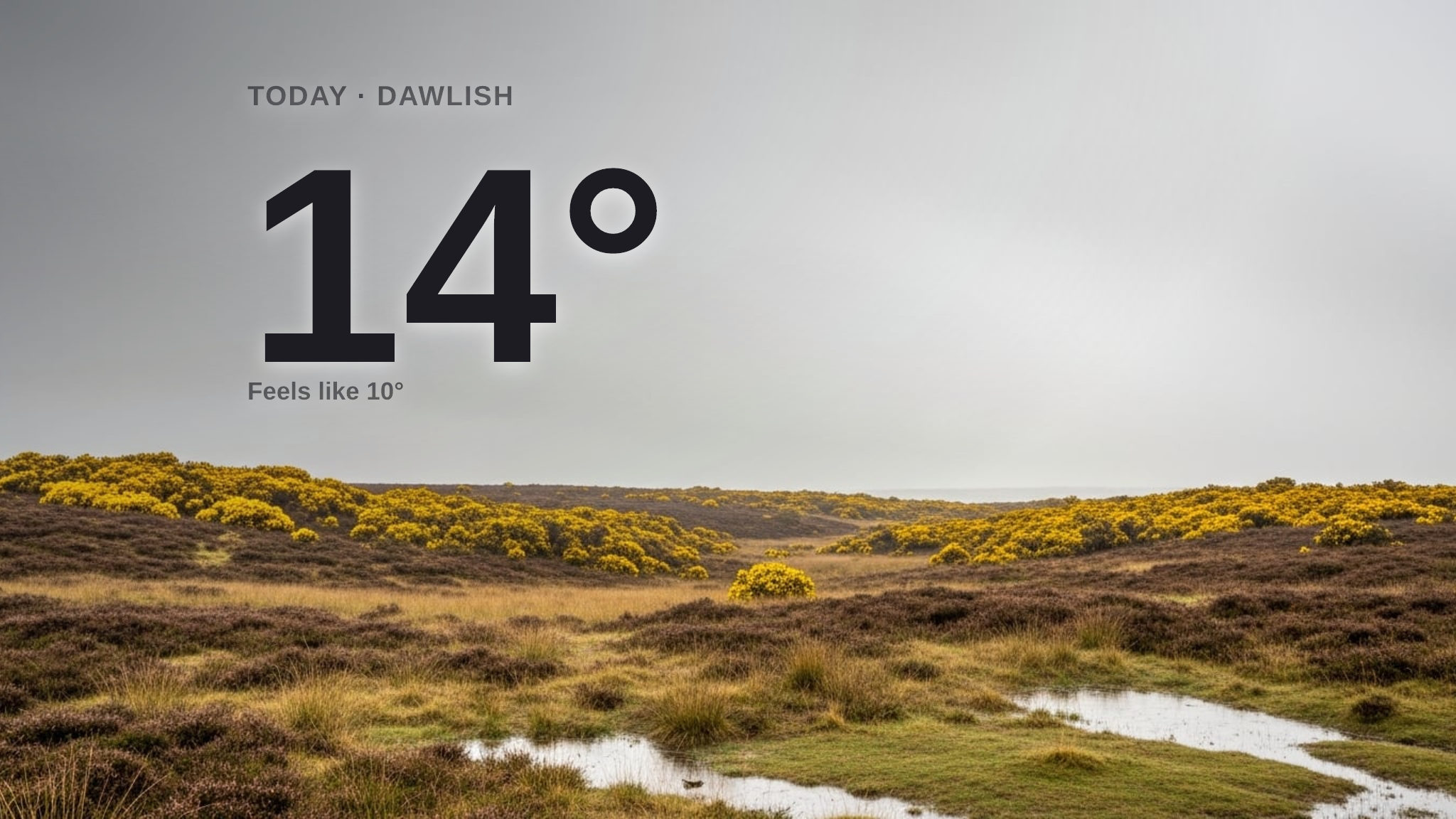 Rain on the way for Dawlish today - here's your Monday forecast