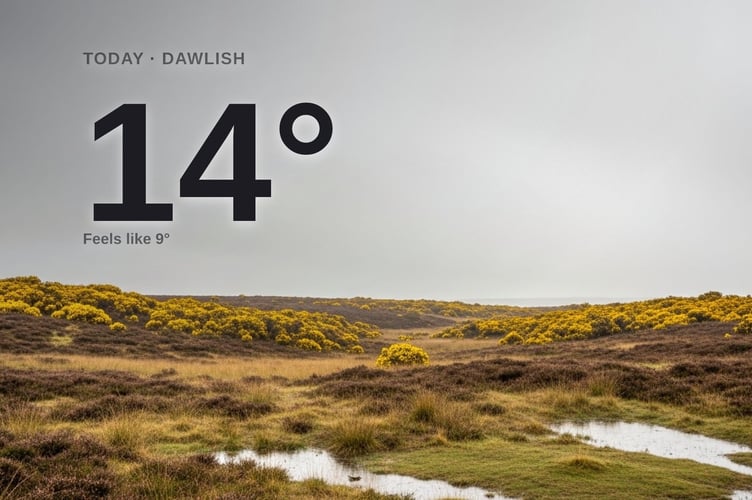 Dawlish weather: cloudy Sunday with rain expected and a high of 13°C