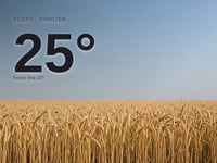 Dawlish: sunny day, high of 25°C