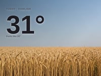 Dawlish: sunny day, high of 31°C
