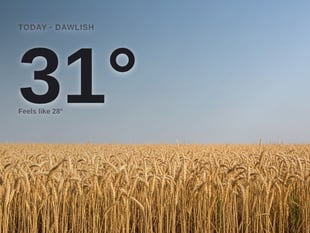 Dawlish: sunny day, high of 31°C