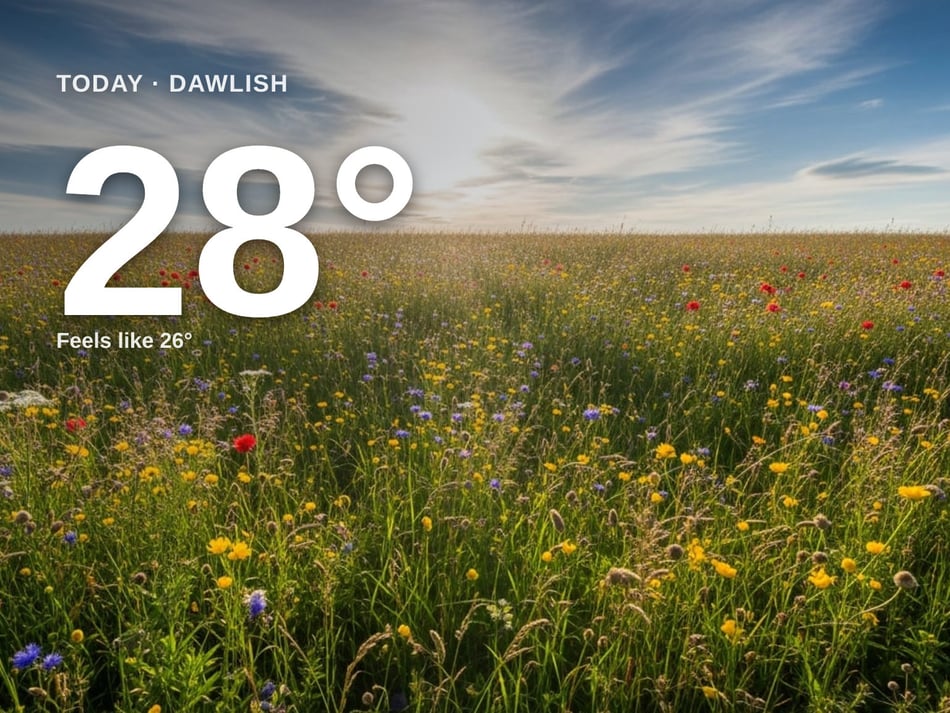 Dawlish: partly cloudy, high of 28°C